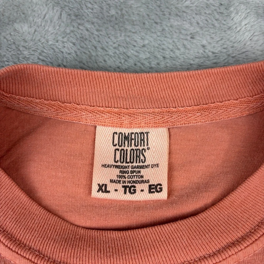 Comfort Colors Disney Orange Bird Short Sleeve Tee Shirt Women's XL - Picture 3 of 6